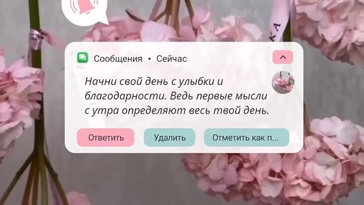 Ди дика хилда! Доброго всем дня!🩷