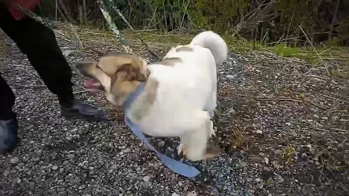 Видео от Анны Рубцовой (1)