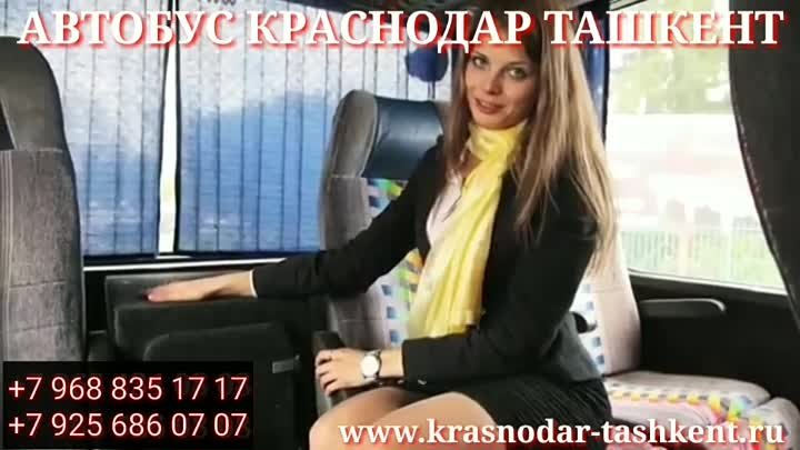 Krosnadar  Tashkent пассажирские перевозки