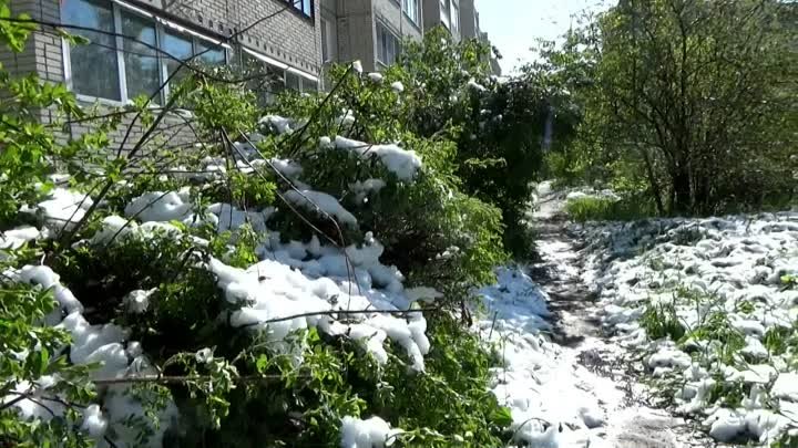 Утро 8 мая после снегопада в городе Вязники