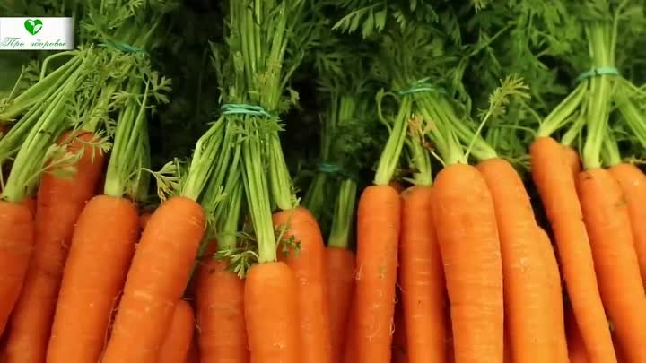 Не кормите РАК! Онкологи знают, что творит морковь. (должен знать ка ...