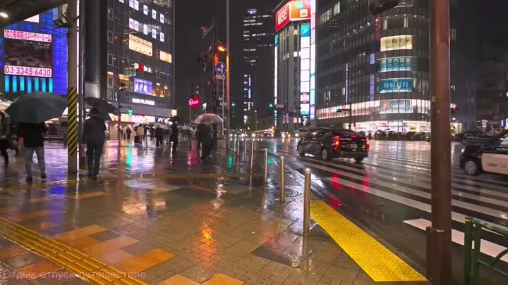 Синдзюку, специальные районы Токио…  