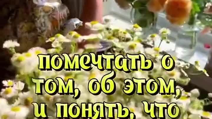 видеооткрытка_доброе_утро.mp4