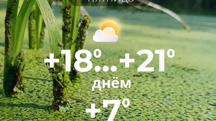 Погода в Солигорске на 17 мая