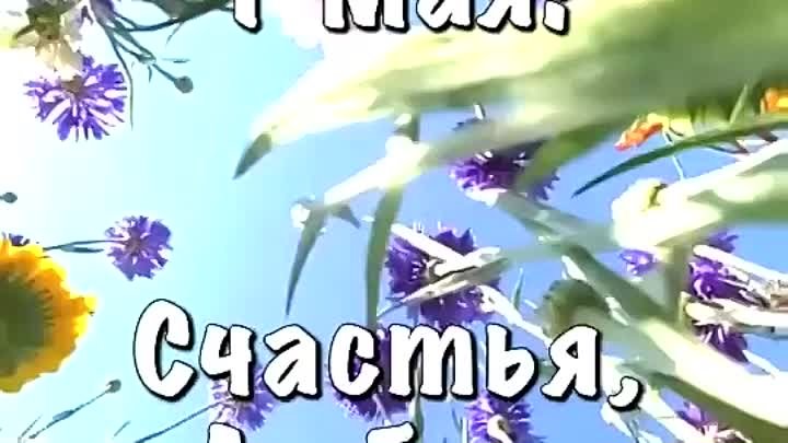 С праздником! 🌷🌷🌷