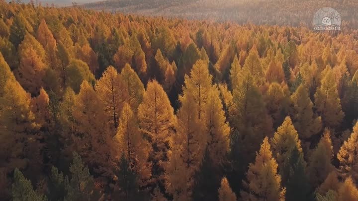 Лучшее на Байкале во все сезоны. Съемка с высоты птичьего полета.