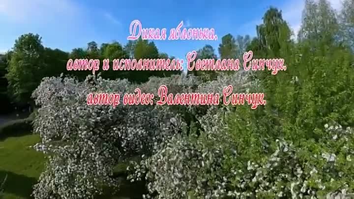 Дикая яблонька. автор и исполнитель_ Светлана Синчук