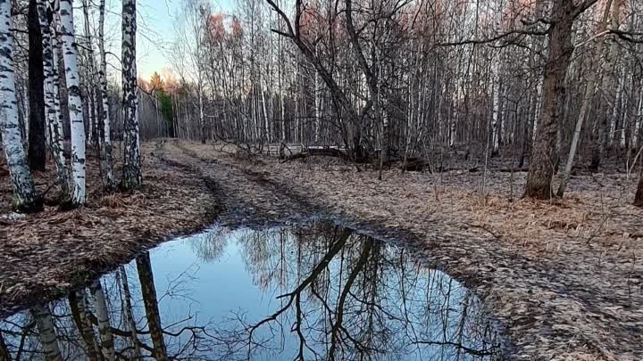 Природа родного края через объяктив А Анкундиновой