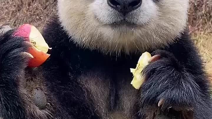 Приятного аппетита😋