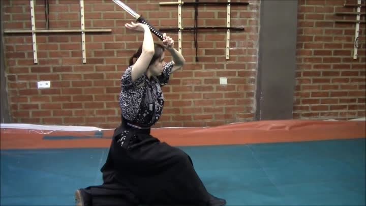 Ogawa Ryu - Teach Moments Over the Years - II - with  Shidoshi Julia ...