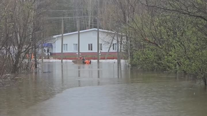 Видео