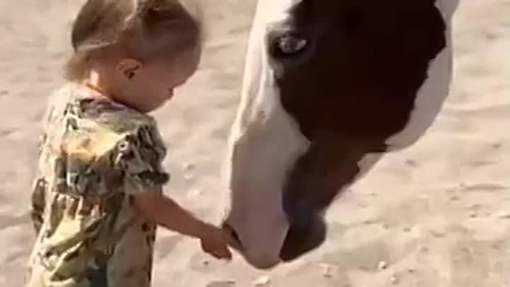Дети любят лошадей