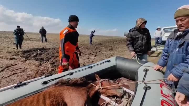 Видео от ТопТюмень | Типичная Тюмень