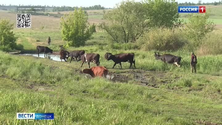 Специалисты республиканских ветеринарных больниц проводят плановую в ...