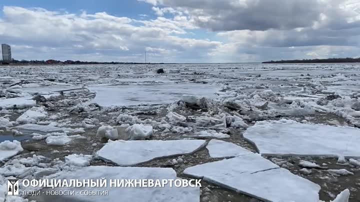 Официальный комментарий В. Л. Татаренкова