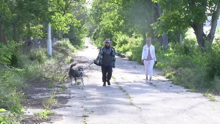 В поисках нового дома. История хаски Макса