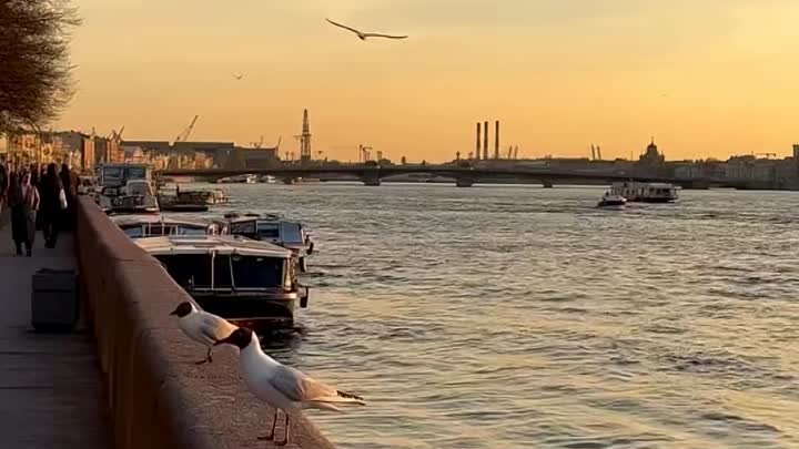 В каждом уголке Петербурга таится частица магии✨