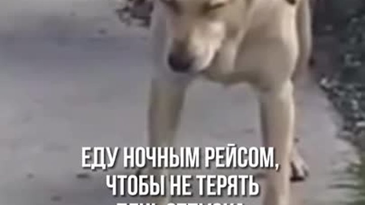 Ночной рейс