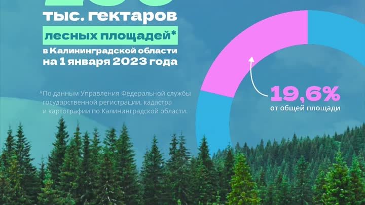 Лесные ресурсы Калининградской области 