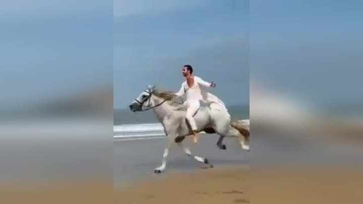 Лошади на краю берегов у моря.