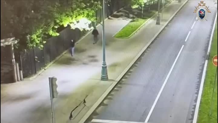 Иностранец напал на девушку в Москве