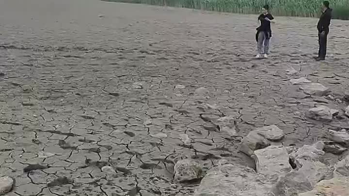 Таганрогский залив без воды