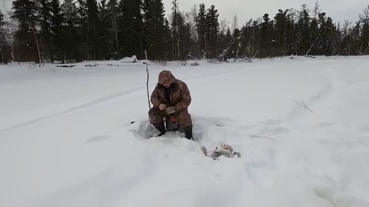 РЫБАЛКА НА ЯМАЛЕ, ЕТЫ-ПУР ДАЖЕ В НЕ КЛЁВЫЙ ДЕНЬ ПОДАРИТ ШИКАРНЫХ ПОЛ ...