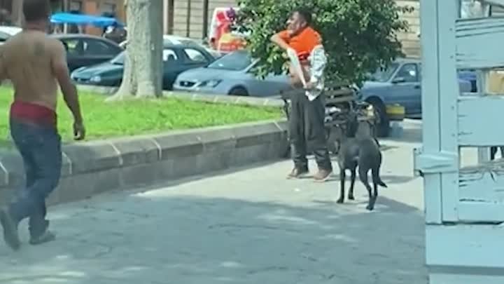 Собаки помогли бездомному