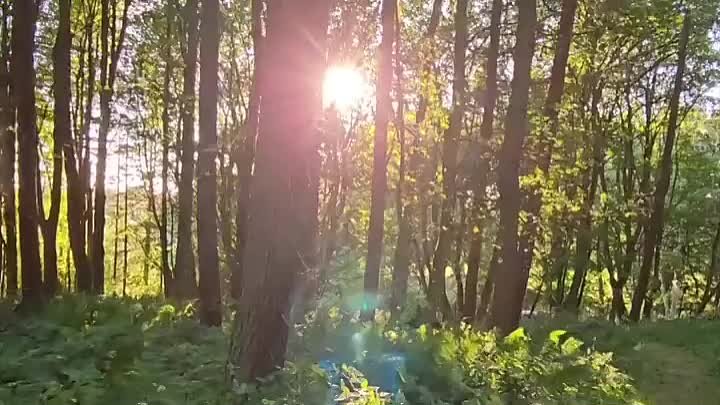 Видео от ↟ твой домик в лесу ↟