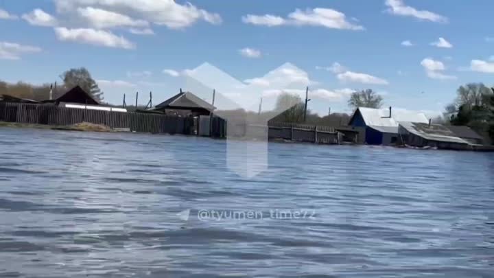 Большая вода в деревне Бобры Викуловского района