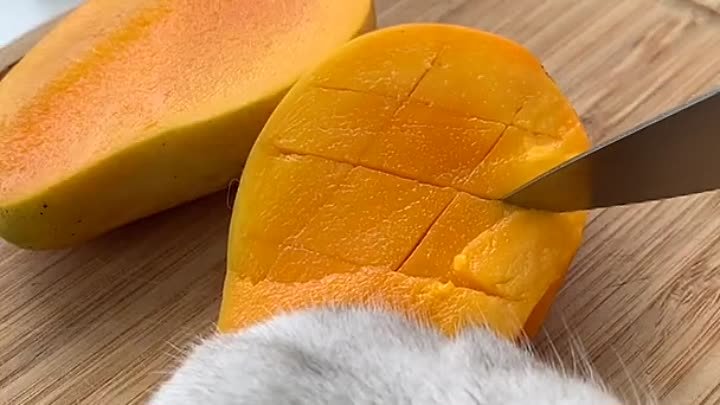 Кошка готовит потрясающий молочный коктейль с манго ДОМА ！ #SummerDr ...