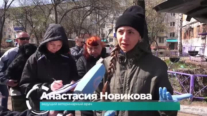 В Комсомольске началась выездная вакцинация против бешенства