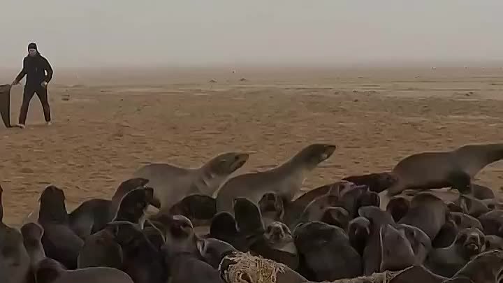 Мир не без добрых людей 🤍 Помогли сразу двум.