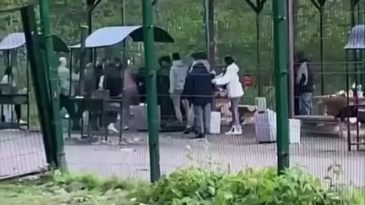 Битва за шашлыки в Терлецком парке