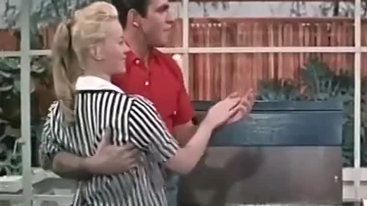 Love in a Goldfish Bowl 1961