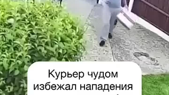 Курьер😂