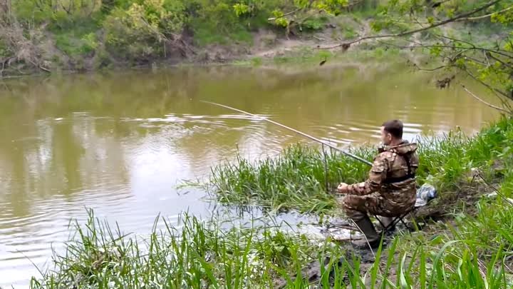 Рыбалка на реке в мае. Ловля хорошей плотвы. Рыбалка на поплавок.