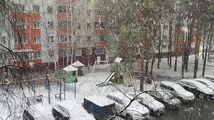 Снег   в Сургуте в мае