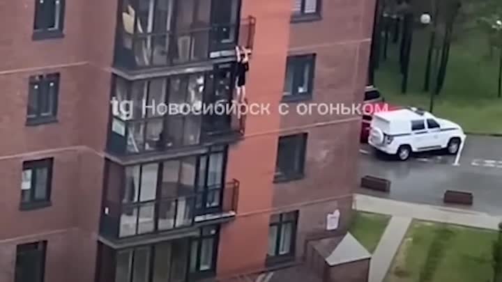 Человек-паук появился в Новосибирске