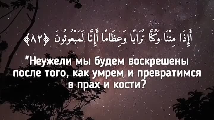 📹 ﷽ :• |  Чтец: «Ясир Ад-Даусари»• |  Сура: «Аль-Муминун»• | Аяты:  ...