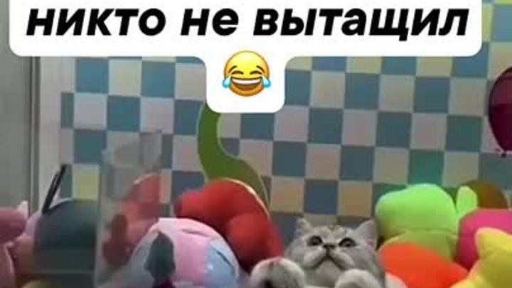 Самый ценный приз... 😂👍