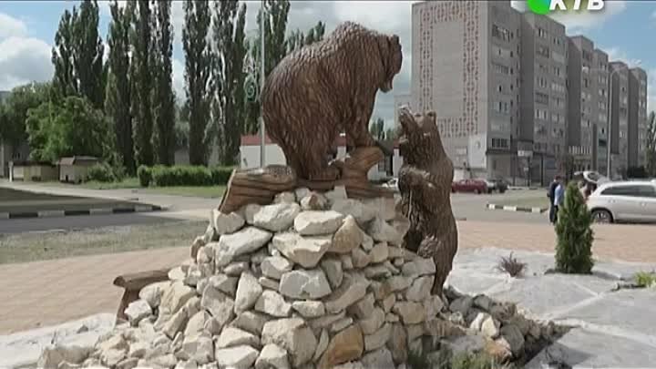 2016 год. Медвежье знакомство.