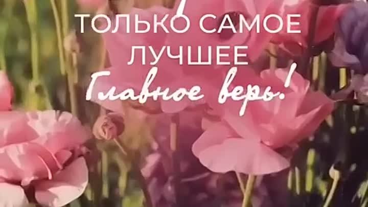 тихо