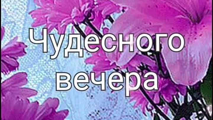 Чудесного вечера