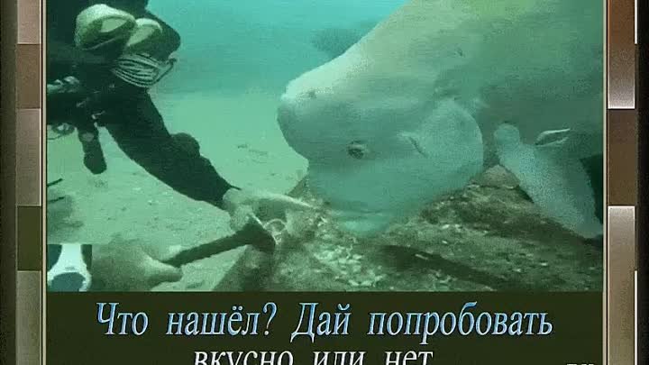 На глубинных просторах !