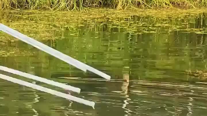 Аквариум в озере