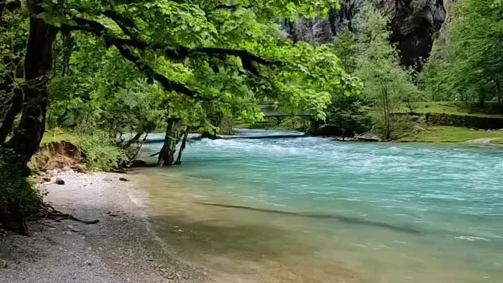 Рицинский реликтовый национальный парк, Абхазия.
