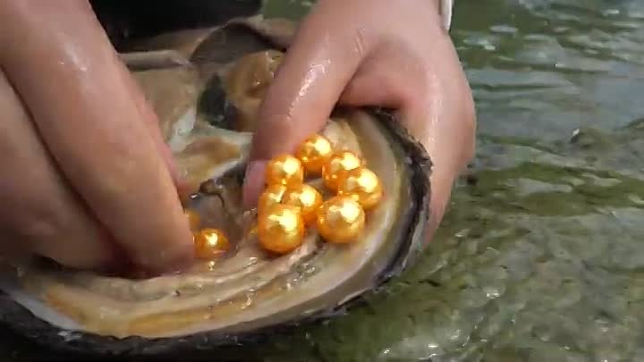 Девушка открывает мутировавших гигантских моллюсков, чтобы получить  ...