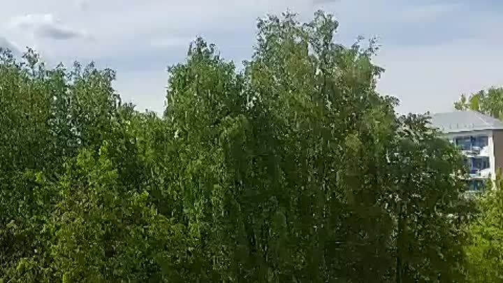 Весенние облака над Бугурусланом🤣

 #новотроицк #сорочинск #бугурус ...