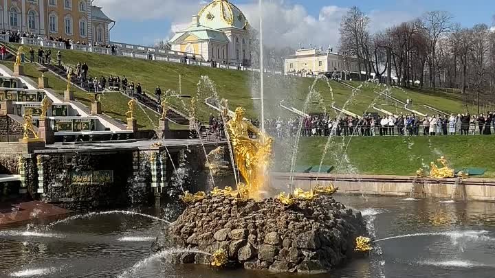 Торжественный пуск фонтанов в Петергофе – летний сезон 2024 официаль ...